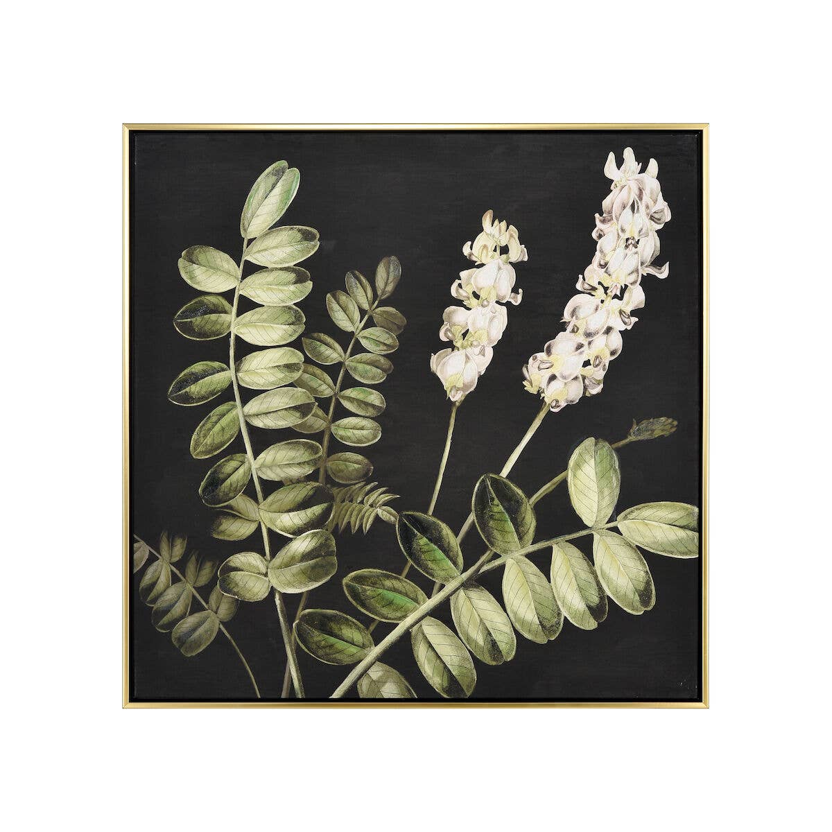 Botanical Study Floral Canvas Framed Wall Art