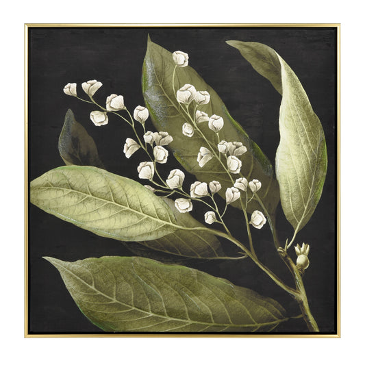 Botanical Study Floral Canvas Framed Wall Art