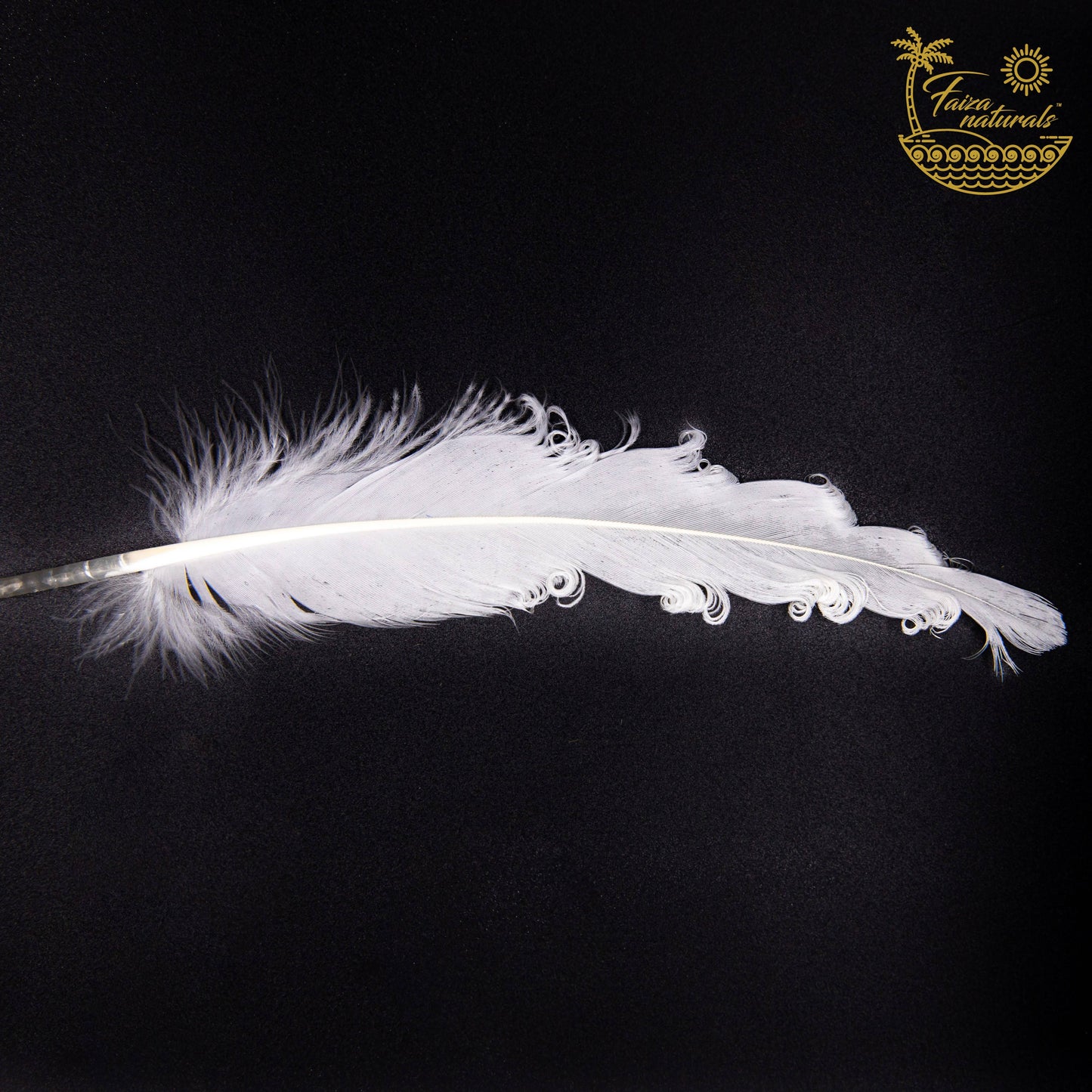 Goose Feathers for Smudging