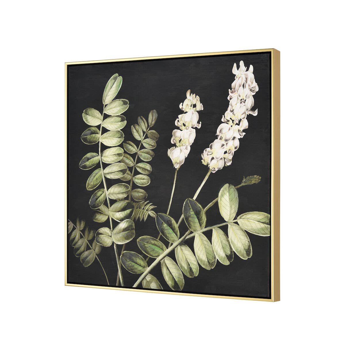 Botanical Study Floral Canvas Framed Wall Art