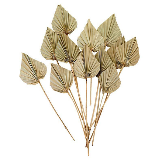 Botanical Decor - Palm Spear - Beige