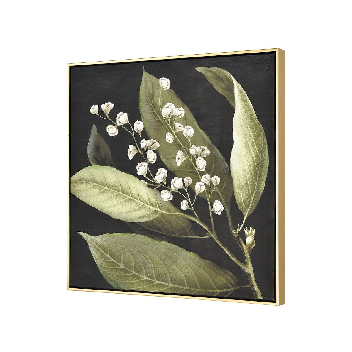 Botanical Study Floral Canvas Framed Wall Art