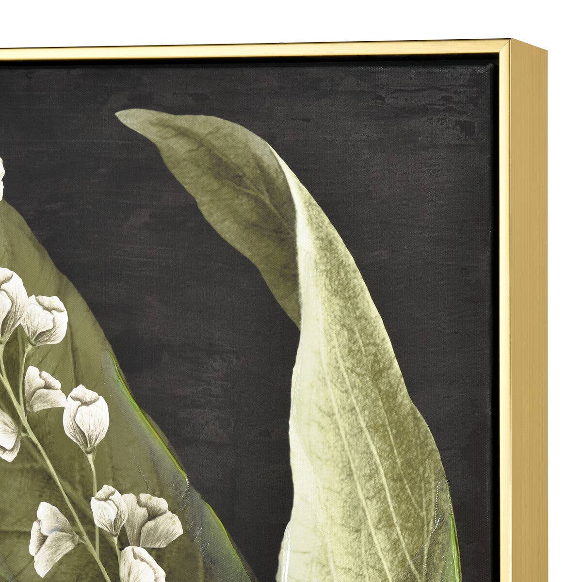 Botanical Study Floral Canvas Framed Wall Art