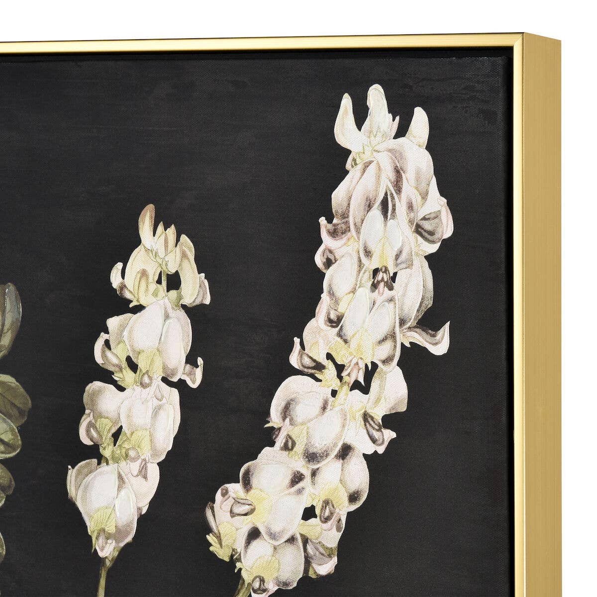 Botanical Study Floral Canvas Framed Wall Art